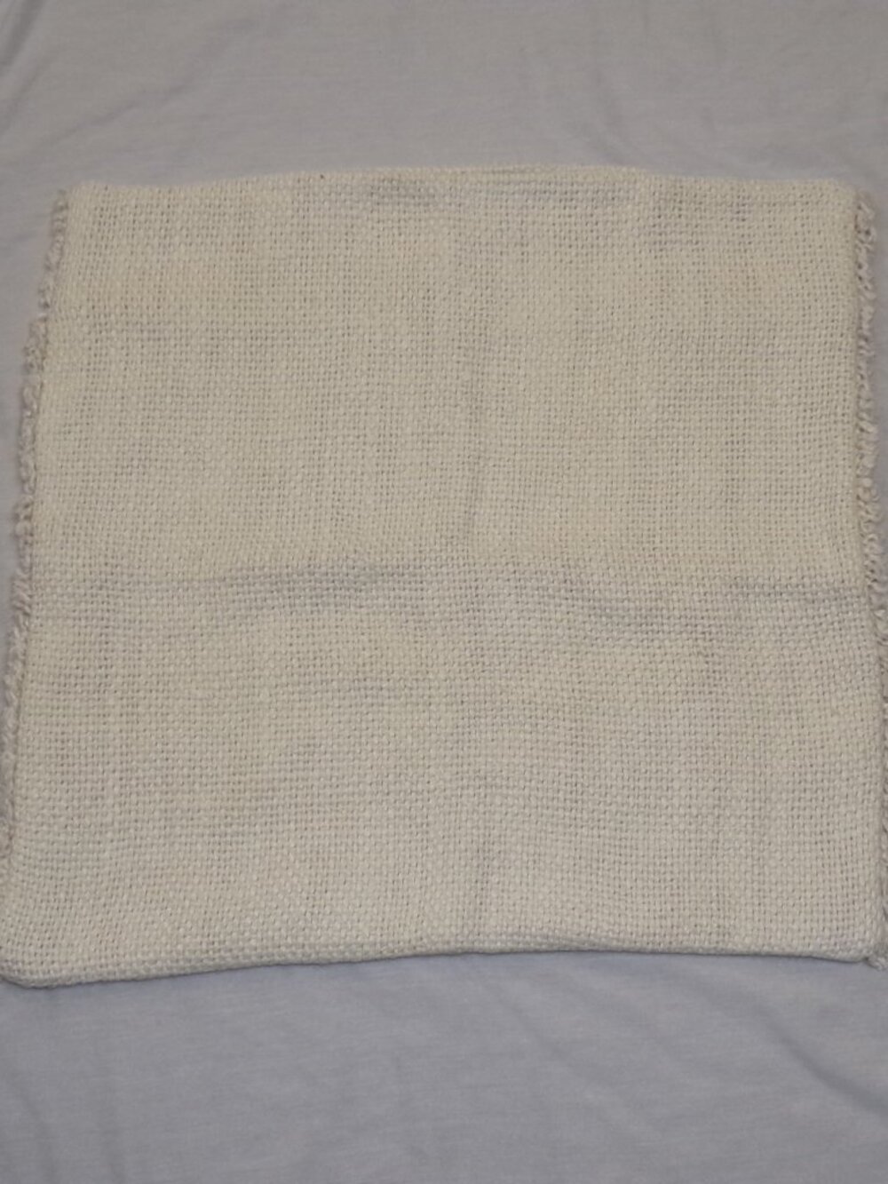 NEW Annie Selke MARIE FLANIGAN Griffin Linen Decorative Pillow Cover Sham Ivory